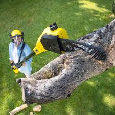Best Weed Control  in Lehighton, PA